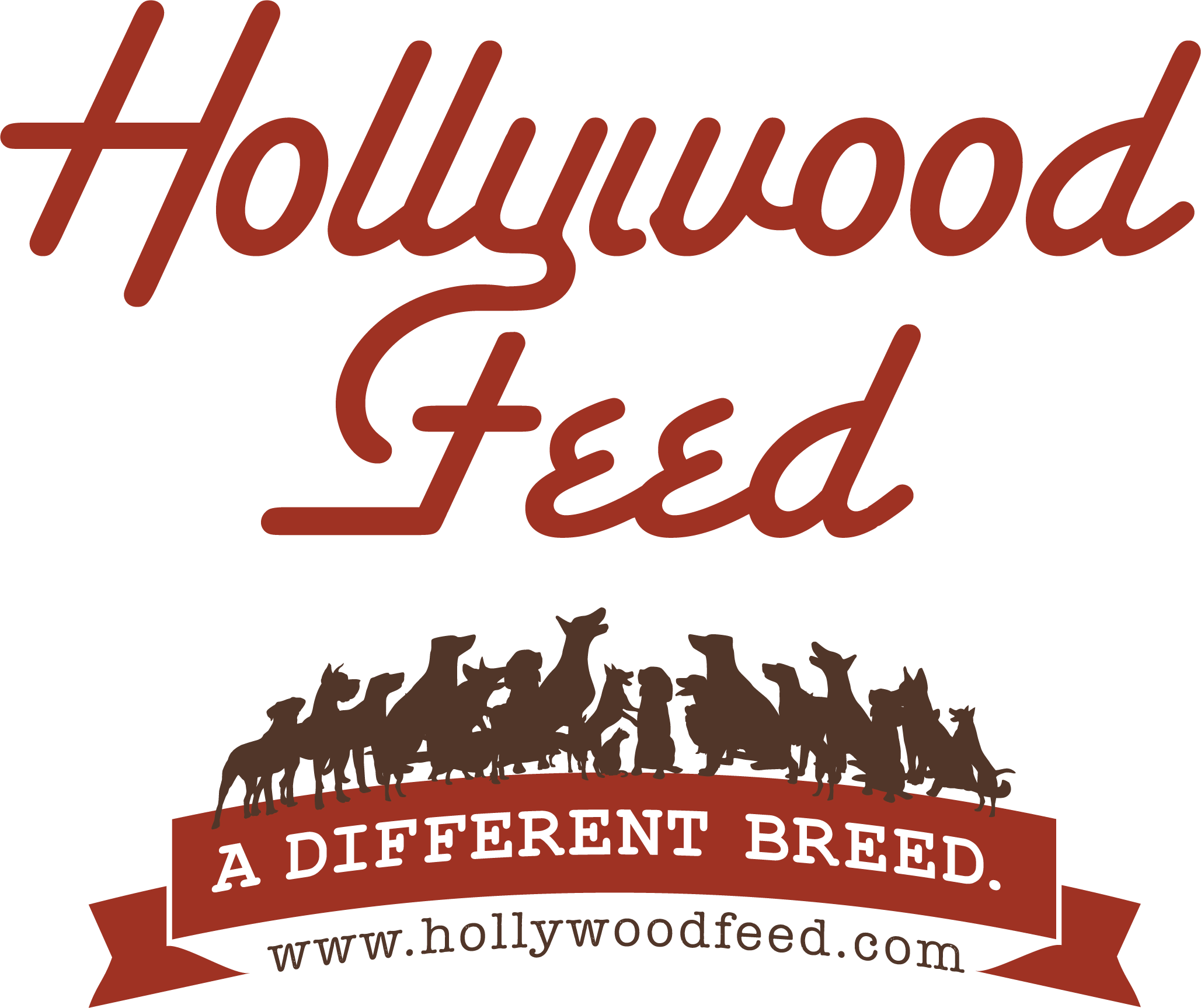 Hollywood Feed Logo